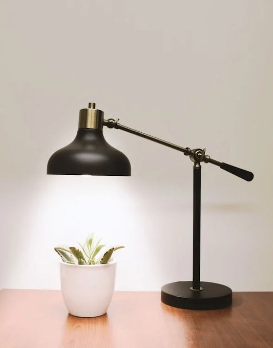 Styling en inspiratie met de Portulacaria afra variegata