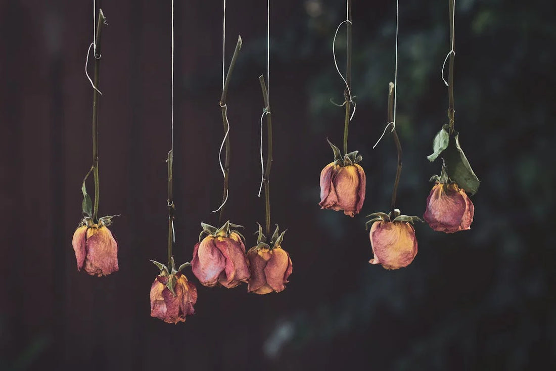 Dried flowers: een stijlvolle en duurzame trend